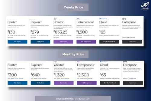 ราคา wordpress 2024